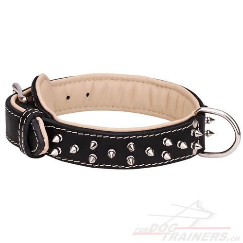 Nappa Leder Halsband schweiz