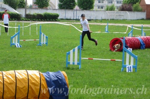 Tout pour Sport Canin