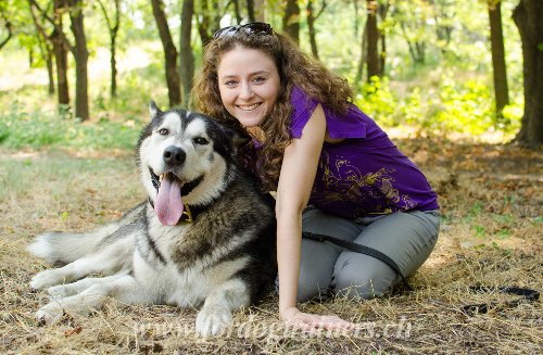 Matriel pour Malamute de l'Alaska