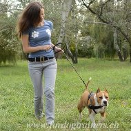 ducation canine/Psychologie du chien