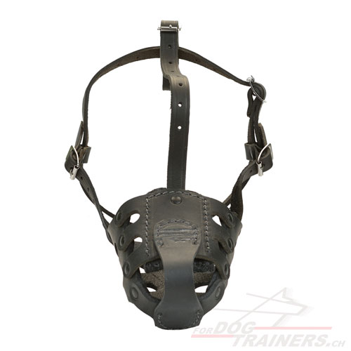 leather muzzle malinois