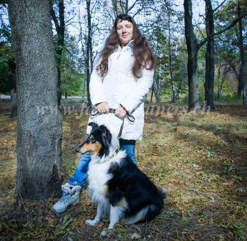 Matriel canin - Collier pour chien