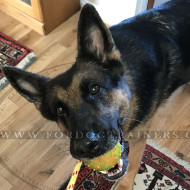 Fester Ball aus Gummi mit Strick fr Deutschen Schferhund