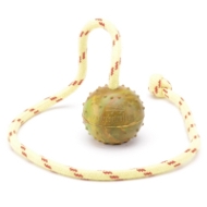 Gummiball Solid fr Hundetraining mit Schnur