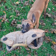 Beisskissen mit 2 Griffen fr Malinois