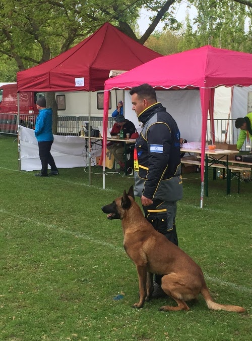 Survtements professionnels pour sports canins