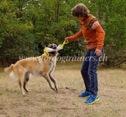 Boudin de rappel durable pour former son chien de
Tervueren