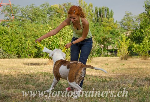 Boudin de jeu et de dressage pour Bouledogue amricain