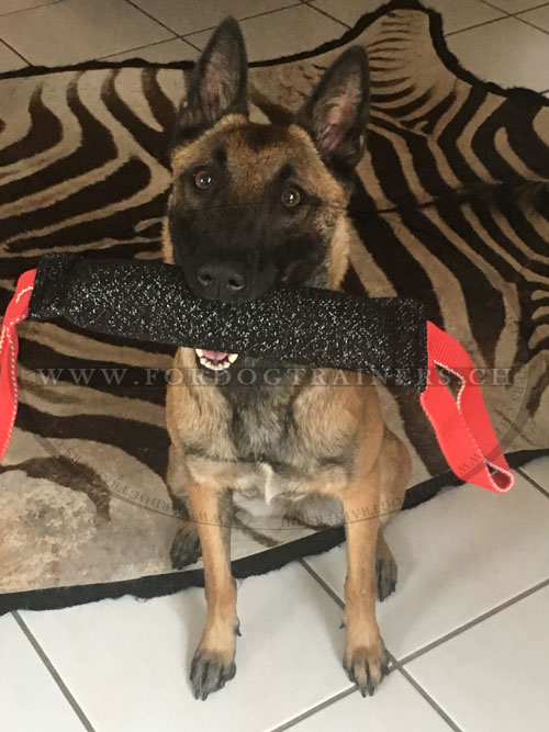 Boudin
de rappel pour Malinois