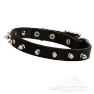 Collier en cuir de promenade
pour gros chien ou petit