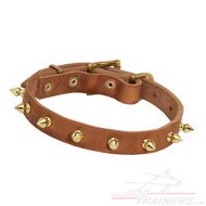 Collier de promenade
pour gros chien ou petit