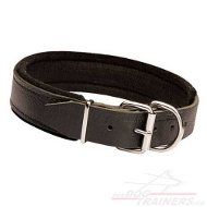 Collier de travail pour gros
chien