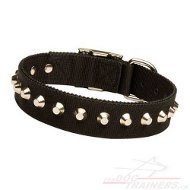 Collier en nylon pour chien -
pratique pour tous les jours