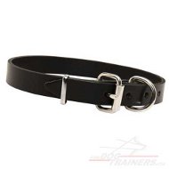 Collier en cuir pour chien -
pour tous les jours 