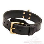 Collier universel pour grand chien C33