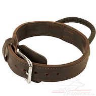 Braun
Hundehalsband mit Griff | Haltbares Hundehalsband