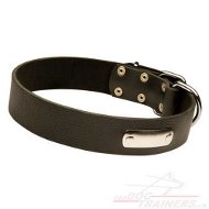 Collier en cuir solide pour chien