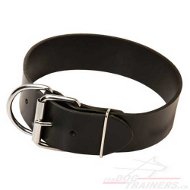 Collier en cuir multifonctionnel
pour chien