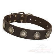 Collier en cuir parfait pour gros
chien ou moyen