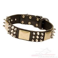 Collier en cuir chic pour gros
chien ou moyen