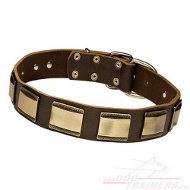 Collier en cuir dcor pour gros chien ou moyen