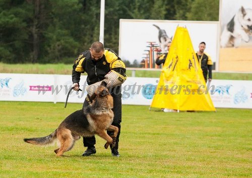 Fouet Fordogtrainers Sport Canin