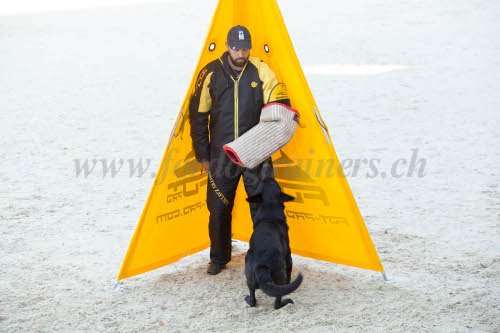 Matriel professionnel pour dressage de chien