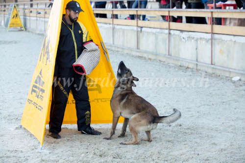 Matriel pour dresseur de chiens