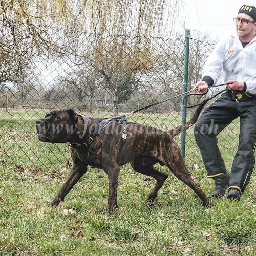 Sac ceinture pratique pour matre de chiens