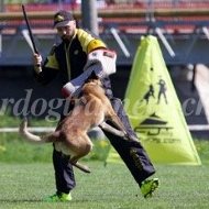 Sport Canin