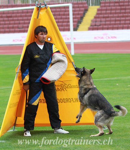 Equipement pour sport canin