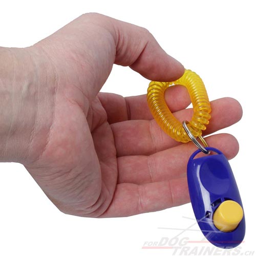 Clicker pour dresser son chien