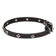 Leder Hunde Halsband Dnn mit Verchromten Nieten