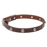 Dog Collar with embossed rivets for stylish walking