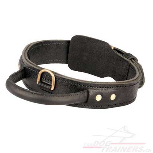 Collier avec poigne pour Rottweiler - meilleur contrle