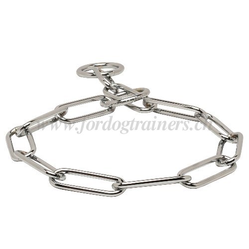 Collier solide pour chien