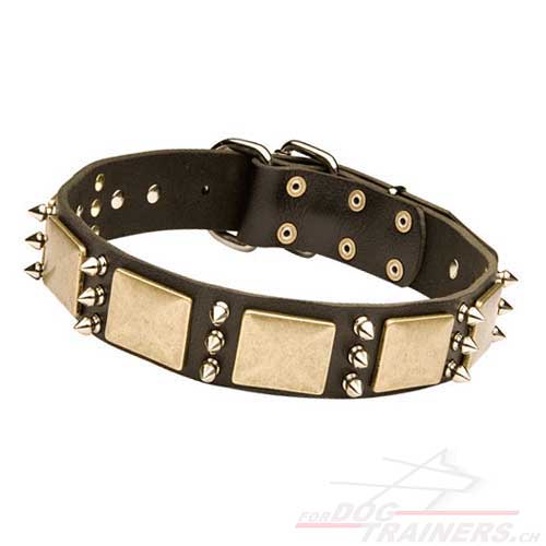 Collier de promenade en cuir pour chien