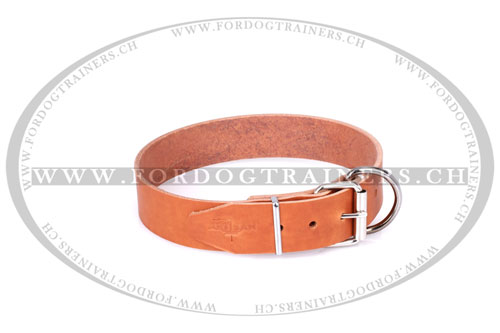 Collier rsistant pour chien