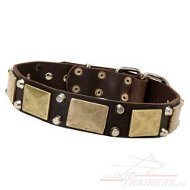 Edles Lederhalsband mit Platten und Pyramiden | Hunde Halsband