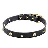 Leder Hundehalsband mit Messing Spikes und Totenkpfen