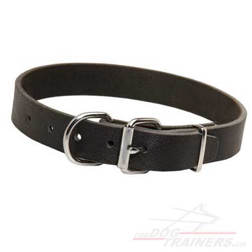 Collier en cuir pour chiens de toutes les tailles