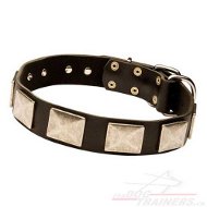 Leahter Collar with Vintage Plates for Dog Walk