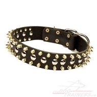 Hundehalsband Breit mit Spikes und Kugelkalotten