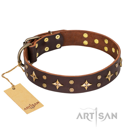 Collier moderne pour chien High Fashion FDT Artisan