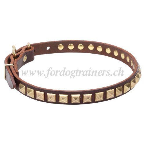 Collier Finesse pour chien