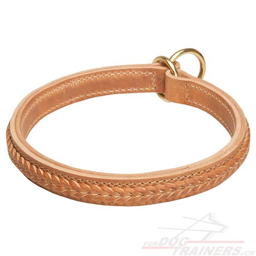 Collier ducation & Promenades pour chien