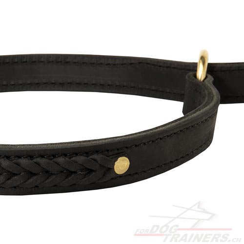 Collier de dressage pour chien Type trangleur