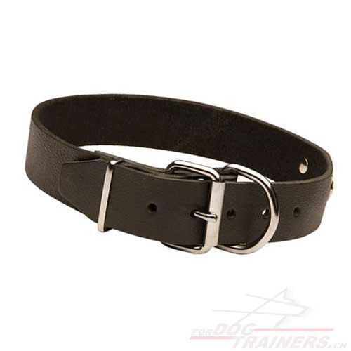 Collier en cuir et acier nickel pour chien