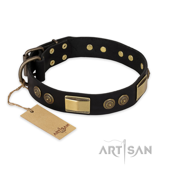 Hundehalsband mit golden Platten kaufen