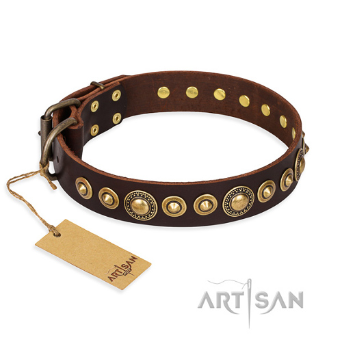 Handgefertigtes Hundehalsband von Artisan FDT